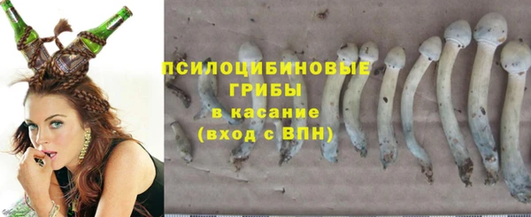 дмт Алзамай