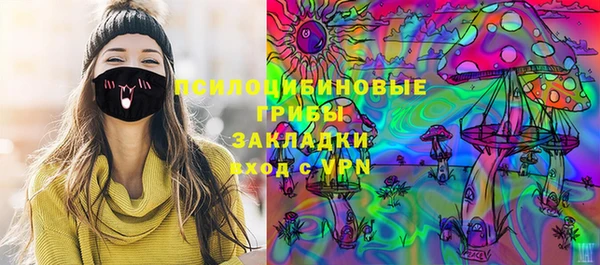 дмт Алзамай