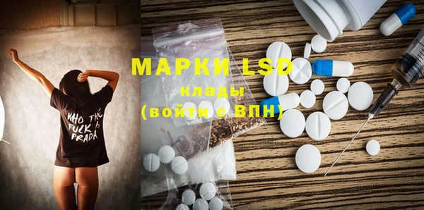 дмт Алзамай