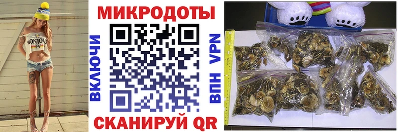 как найти закладки  Лахденпохья  гидра зеркало  Галлюциногенные грибы мухоморы 
